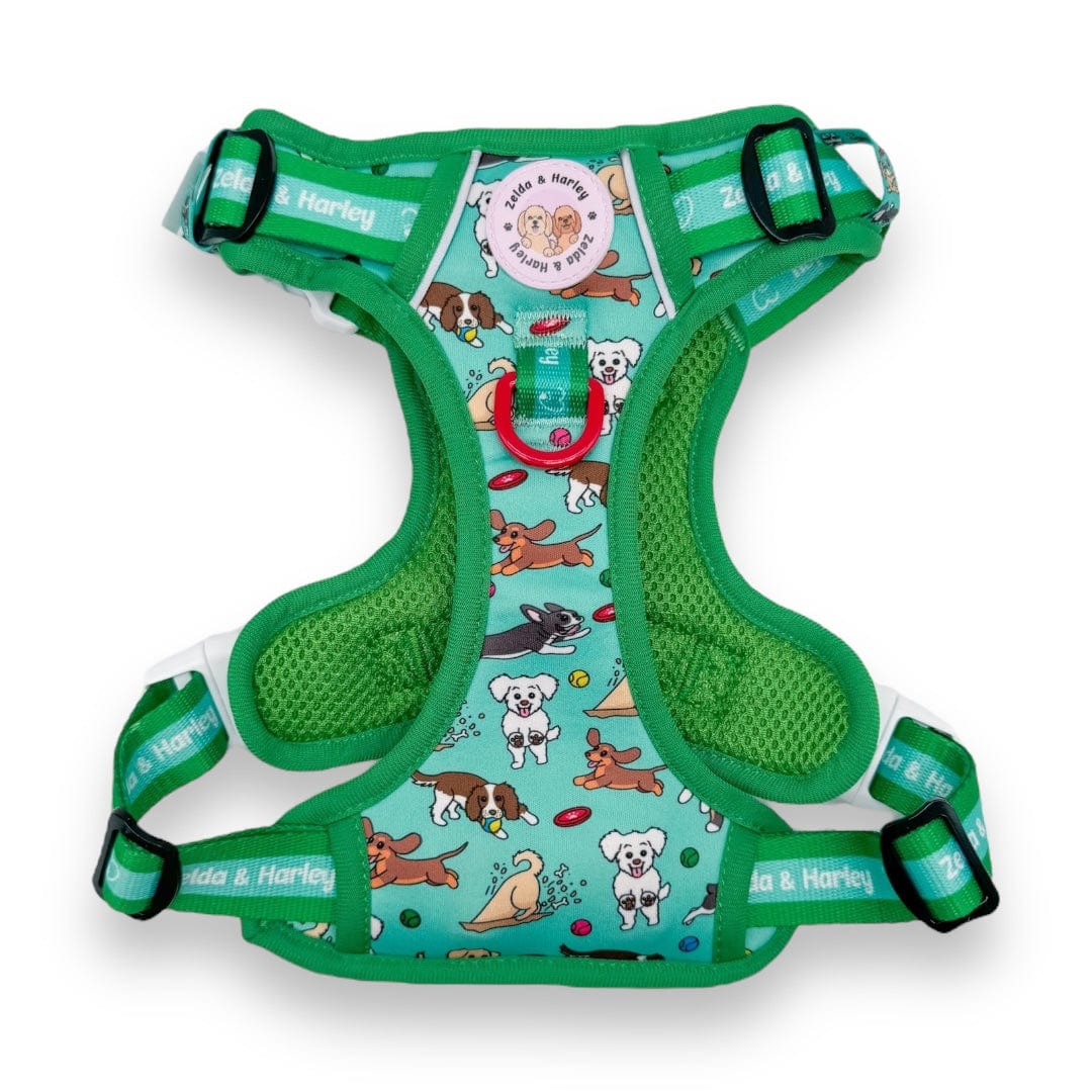 Zoomies 2.0 - Adventure No Pull Harness